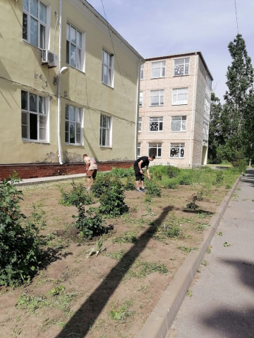 Экологическая акция "Чистая территория"
